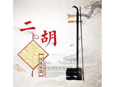 招聘肇庆二胡家教老师